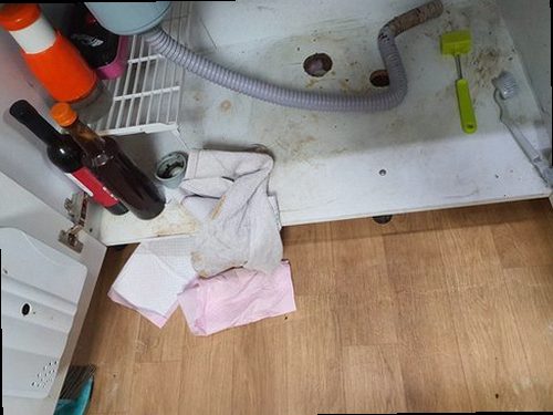 세종시 전동면 하수구막힘 하수 역류 냄새 3단계 현장 점검과 대응법