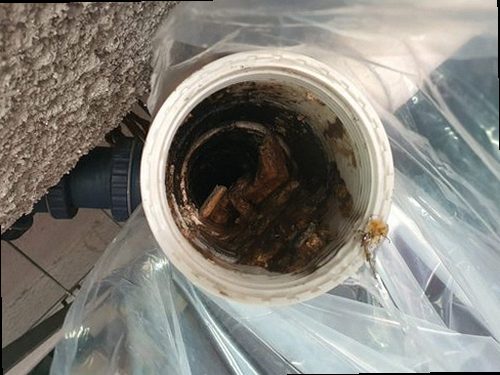 세종시 보람동 하수구막힘 물이 천천히 빠지고 바닥에 고인 욕실 배수구 현장