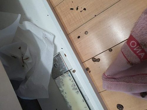 세종시 하수구막힘 새롬동 하수구막힘 원룸 싱크대막힘 방치하면 역류까지 번진다